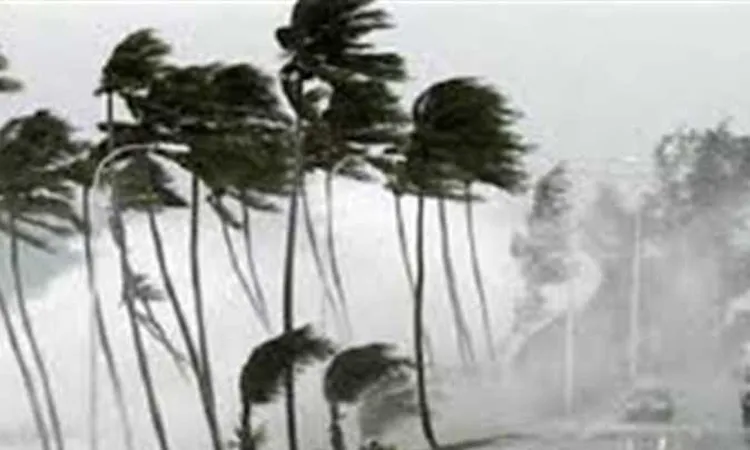 “الأرصاد” تواصل تحذيرها من طقس الساعات المقبلة: لا تخرجوا من المنازل إلا للضرورة القصوى