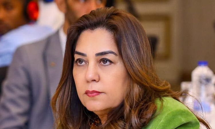 وزيرة التنمية المحلية توجه بتنظيم حملات توعوية للأسواق والمحلات في نطاق محافظة الجيزة