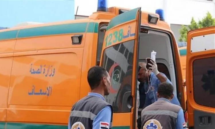 بالأسماء.. إصابة 11 شخصًا إثر انقلاب ميكروباص بالمنيا
