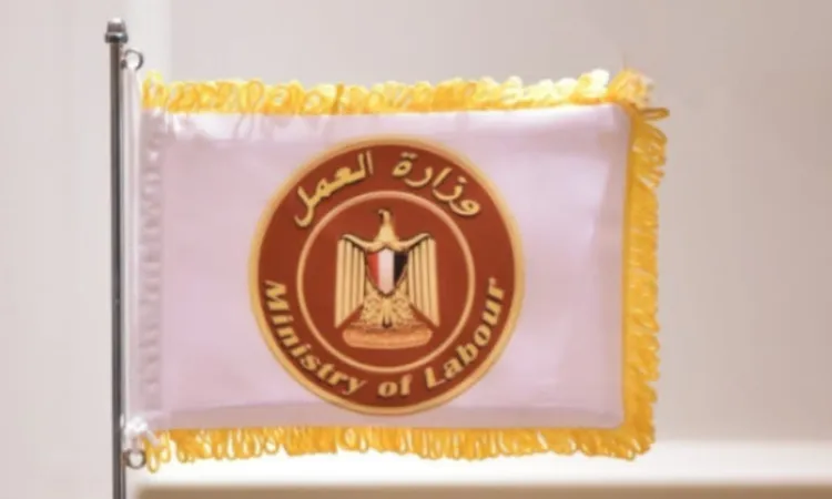 وزارة العمل: حظر تشغيل الصغار أقل من 15 سنة لتعزيز الحماية القانونية