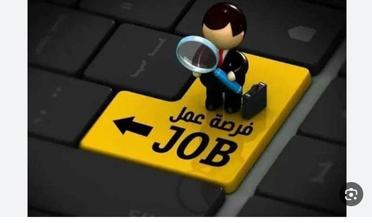 فرص عمل بمرتب 20 ألف جنيه.. اعرف التفاصيل والشروط
