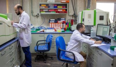 خلال إجازة العيد.. المعمل المركزي لمتبقيات المبيدات يفحص أكثر من 2500 عينة غذائية