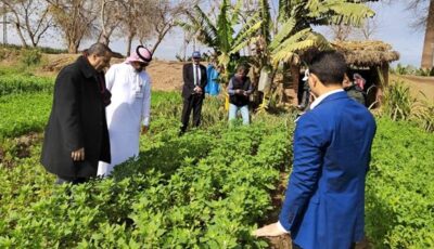 باحثو مركز بحوث الصحراء ينجحون في فك الشفرة الوراثية لنبات الحرجل البحري لدراسة مقاومة الإجهاد الملحي