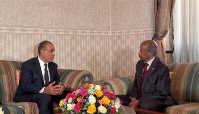 وزير الخارجية يلتقي نظيره الإريتري لبحث تعزيز الشراكة الاستراتيجية والتنسيق حول تطورات الأوضاع الإقليمية