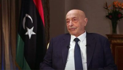 مصر الداعم الأكبر لليبيا عبر التاريخ ومواقفها ستظل محل تقدير