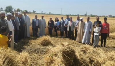 بـ4 ملايين طن.. أسباب تفوق القمح المصري على محاصيل الطماطم والبطيخ