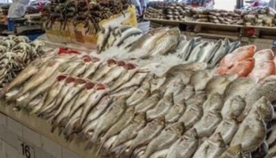 “جهاز حماية وتنمية البحيرات” يطلق مليون وحدة زريعة بلطي نيلي بفرع دمياط بالغربية ضمن خطة تنمية المخزون السمكي