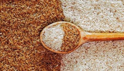 سعر طن الأرز الشعير اليوم الخميس 28 مايو 2026 وأسعار الأرز الأبيض