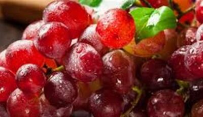 العنب المصري رقم 1 في أمريكا اللاتينية وفنلندا