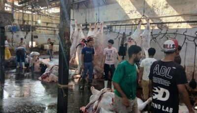 4300 أضحية بالمجان داخل المجازر المعتمدة خلال العيد