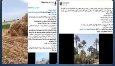كشف ملابسات فيديو ادعاءات اعتداء بسبب نزاع ميراث بالبحيرة