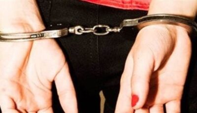 ضبط سيدة بالجيزة زورت مستندات حكومية للنصب على المواطنين عبر التواصل الاجتماعي