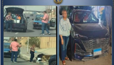 ضبط سيدة نشرت فيديو لإطعام كلاب الشوارع بقايا لحوم في القاهرة لجمع تبرعات