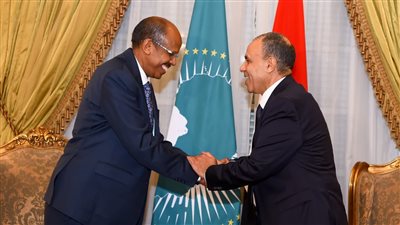 من المساعدات إلى الشراكة.. إفريقيا تعيد صياغة علاقتها بالقوى الدولية كـ “أرض للفرص”