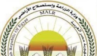 الزراعة تصدر 398 ترخيصاً لمشروعات الإنتاج الحيواني والداجني في مايو
