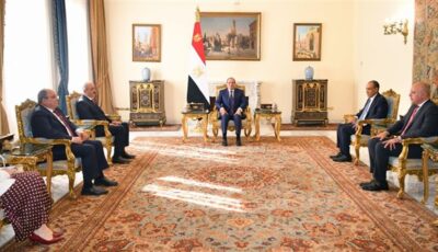ضرورة تكثيف التشاور والتنسيق بين مصر والجزائر في ظل الظروف الاستثنائية