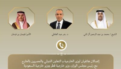 وزير الخارجية يبحث هاتفيًا مع نظيريه السعودي والقطري التطورات الإقليمية