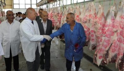 محافظ القاهرة يحظر ذبح الأضاحي بالشوارع ويقرر غرامة 10 آلاف جنيه