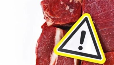 الطب البيطري بالجيزة يحسم الجدل حول «لحوم الكلاب» ويوضح حقيقة المضبوطات