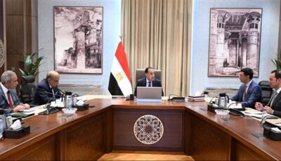 رئيس الوزراء يكلف بعرض الصورة النهائية لمبادرة تشجيع تركيب الواح الطاقة الشمسية في المصانع والمنازل