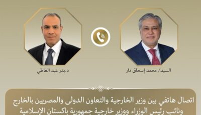 وزير الخارجية يبحث هاتفياً مع نظيره الباكستاني التطورات الإقليمية والجهود المشتركة لخفض التصعيد