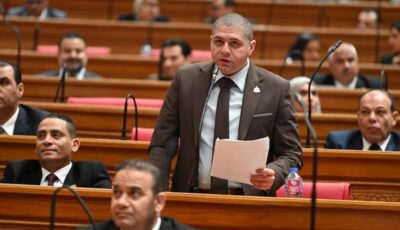 قرار السيسي بزيادة المعاشات رسالة طمأنة للمصريين لمواجهة التحديات الاقتصادية