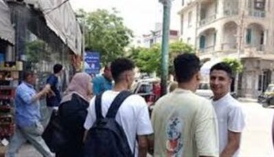 جمع ناقة في اللغة العربية للثانوية العامة.. أشهر الصيغ الصحيحة