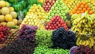 اسعار الخضروات في مصر اليوم