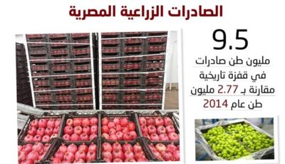 الصادرات الزراعية المصرية تقفز إلى 9.5 مليون طن وتغزو 170 سوقاً دولية