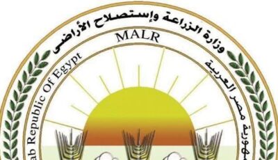الزراعة تكشف تفاصيل المساحات الفعلية المنزرعة بالقطن ومؤشرات المحصول للموسم الجديد
