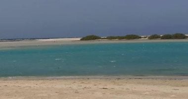 تعرف على أهم المعالم البيئة فى مدينة مرسى علم جنوب البحر الأحمر.. صور