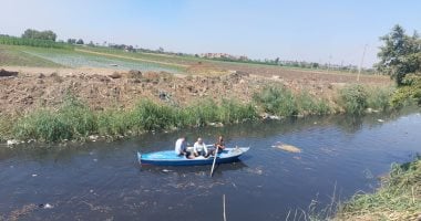 تمساح شبين القناطر.. انطلاق المرحلة الثانية من أعمال التمشيط بطول المصرف