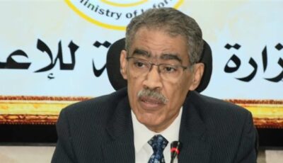 الصحف الخاصة والحزبية ساهمت في إثراء الصحافة المصرية مهنياً وسياسياً