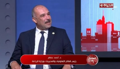 هل تقترب مصر من الاكتفاء الذاتي الغذائي؟ (تفاصيل)