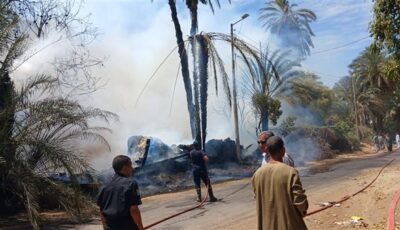 نفوق 6 رؤوس ماشية ومواتير أثناء نشوب حريق فى قوص بقنا