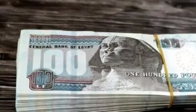 دخل شهري يتجاوز 100 ألف جنيه لمدة 3 سنوات.. اعرف الخطوات والتفاصيل