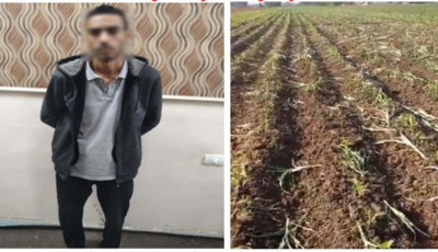 الداخلية تكشف حقيقة فيديو إتلاف محصول زراعي بالبحيرة وتضبط المتهم