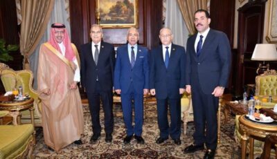 أمن السعودية جزء لا يتجزأ من الأمن القومى المصرى