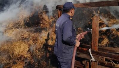حريق يلتهم أرضًا زراعية ومزرعة مواشي بالمحلة وخسائر بنصف مليون جنيه