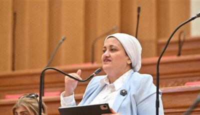 نائبة برلمانية تطالب الحكومة بتحرك عاجل لتطوير جزيرة الشخلوبة في كفر الشيخ