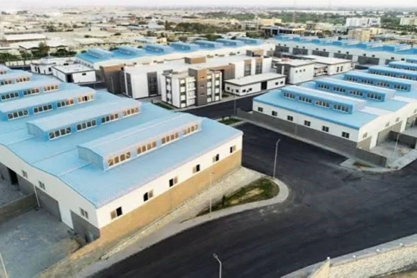 مصر تسحب الأراضي المخصصة من المستثمرين غير الجادين