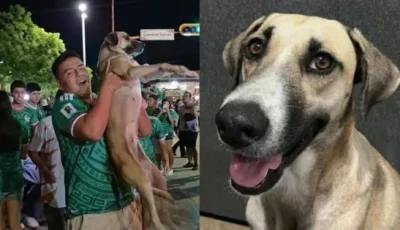 بعد شهر من اختفائها..كلبة تعود إلى منزلها بسبب احتفالات المكسيك بالفوز
