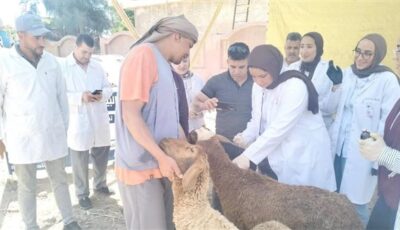 “الزراعة” تنشر تقريرًا بأنشطة وجهود معامل ومعاهد “البحوث الزراعية” خلال أسبوع