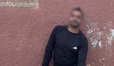 ضبط شخص نظم عروضًا ترفيهية بأسود مفترسة دون ترخيص في جنوب سيناء
