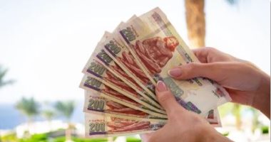 علاوة تشجيعية بنسبة 5% للموظفين بالجهات الحكومية.. شروط الحصول عليها