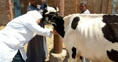 قافلة بيطرية مجانية غدا بقرية ميت عافية فى المنوفية