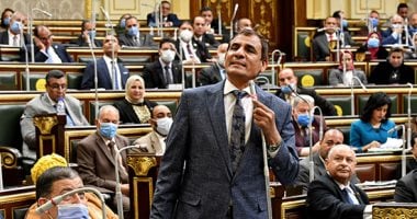 عبد العليم داود: موافقة الوفد على قانون إنشاء جامعة كيان تحمل بعدا استراتيجيا