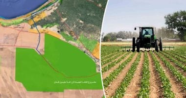 من الدلتا الجديدة لـ”توشكى الخير”.. كيف غيرت ملايين الأفدنة خريطة مصر الزراعية؟