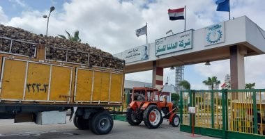أزمة معروض وضعف سيولة.. أسرار هبوط أرباح “الدلتا للسكر” بنسبة 74%