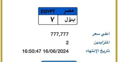 اعرف إجراءات الحصول على لوحة سيارة مميزة بالمزاد الإلكترونى